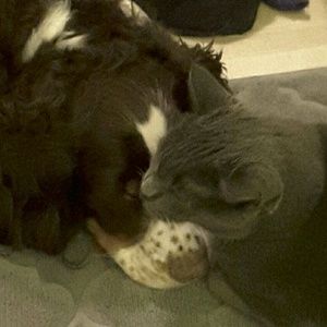 Meet your Posher, Lei-anne